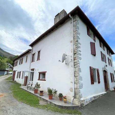 Belazkabieta * אספלט