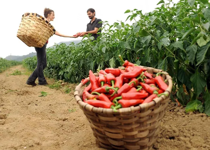 Belazkabieta Casa vacanze *